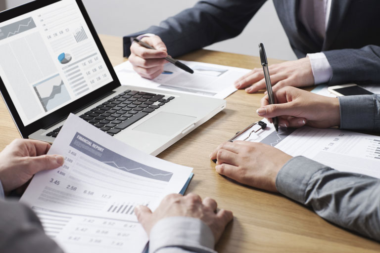 statutory audit services